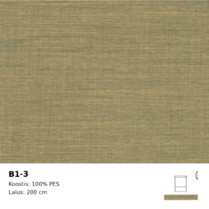 B1-3