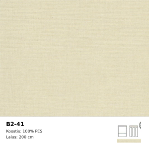 B2-41