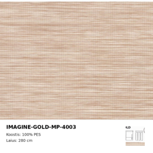 IMAGINE-GOLD-MP-4003